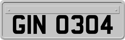 GIN0304