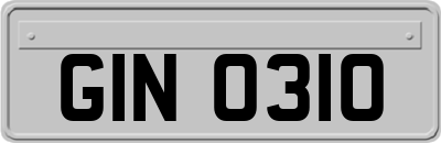 GIN0310