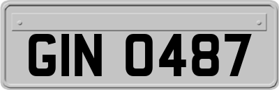 GIN0487