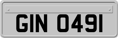 GIN0491