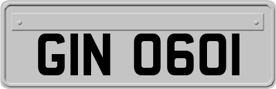 GIN0601