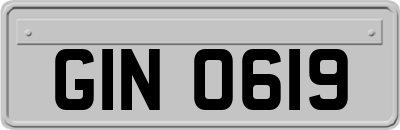 GIN0619