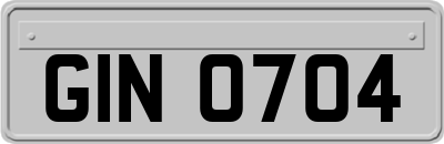 GIN0704