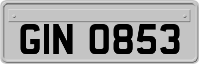 GIN0853