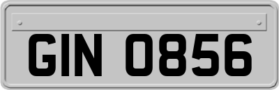 GIN0856