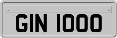 GIN1000