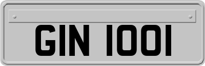 GIN1001