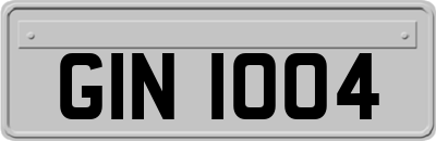 GIN1004