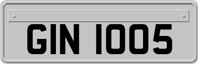 GIN1005
