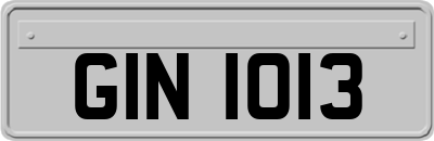 GIN1013