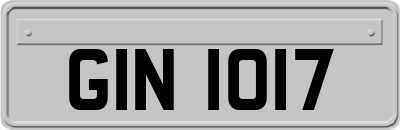 GIN1017