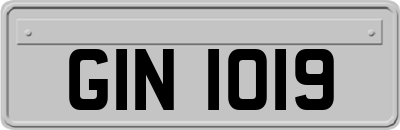 GIN1019