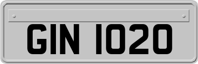 GIN1020