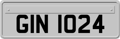 GIN1024