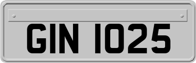 GIN1025