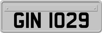 GIN1029