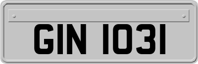 GIN1031