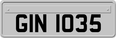 GIN1035
