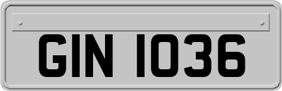GIN1036