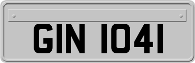 GIN1041