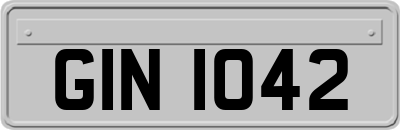 GIN1042