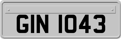 GIN1043