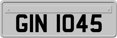 GIN1045