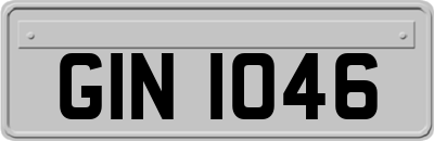 GIN1046