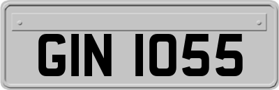 GIN1055