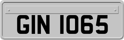GIN1065