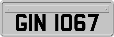 GIN1067