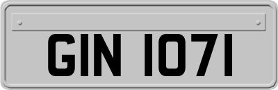 GIN1071