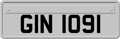 GIN1091