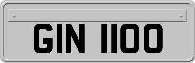 GIN1100
