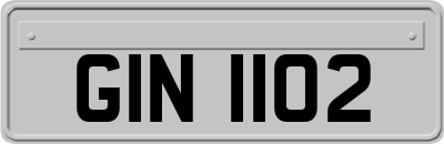GIN1102