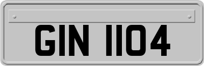GIN1104