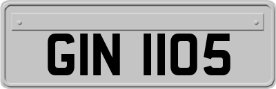 GIN1105