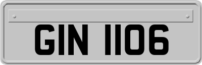 GIN1106