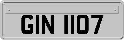 GIN1107