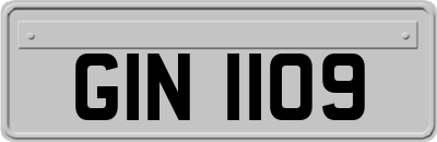 GIN1109