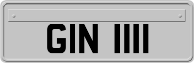 GIN1111