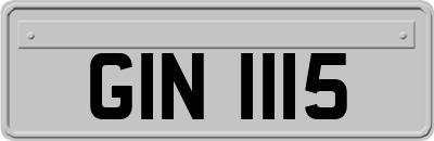 GIN1115