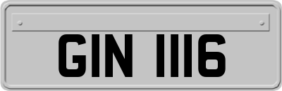 GIN1116
