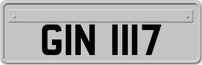 GIN1117