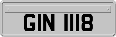 GIN1118