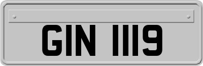 GIN1119