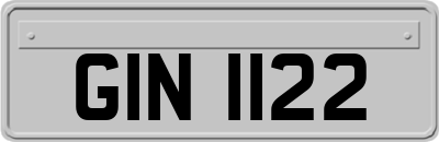 GIN1122