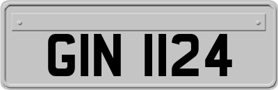 GIN1124