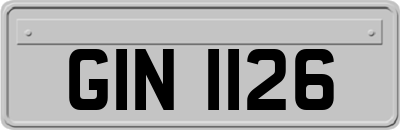 GIN1126