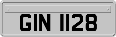 GIN1128